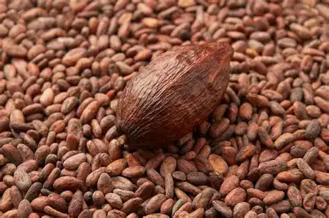 Can Cocoa Seed Extract Enhance Antioxidant Formulas?